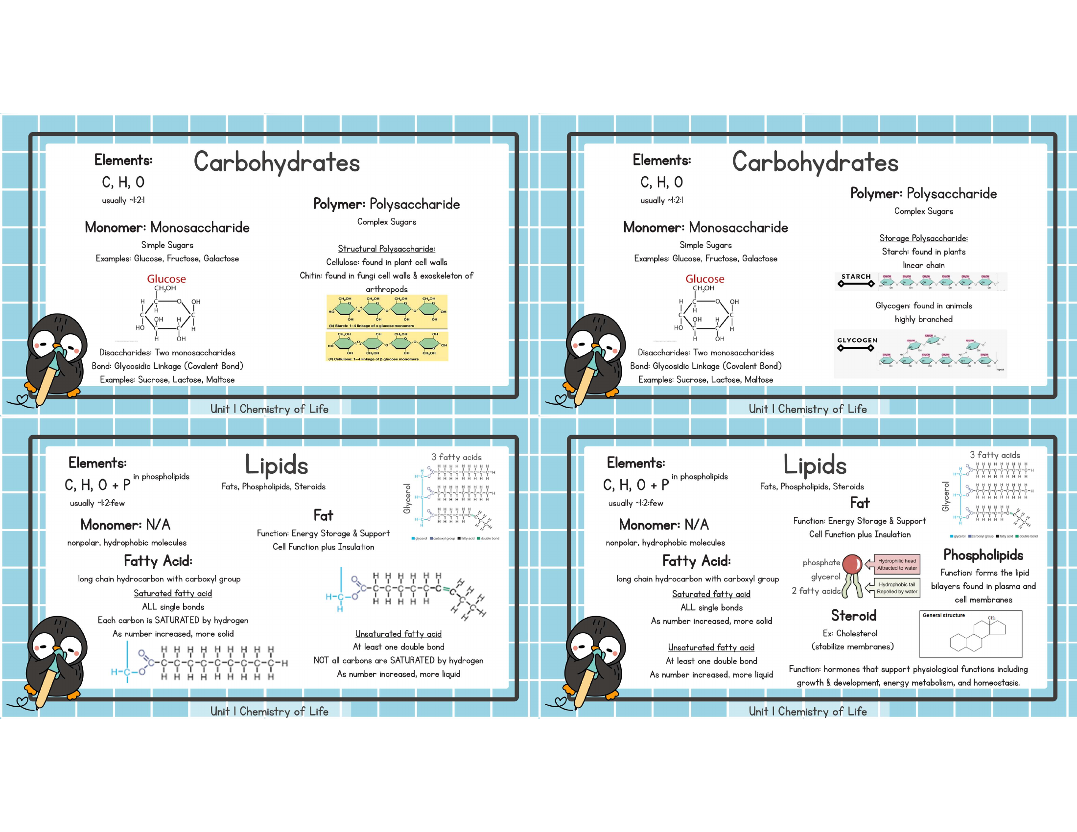 Unit 1 carbohydrates and lipids study image