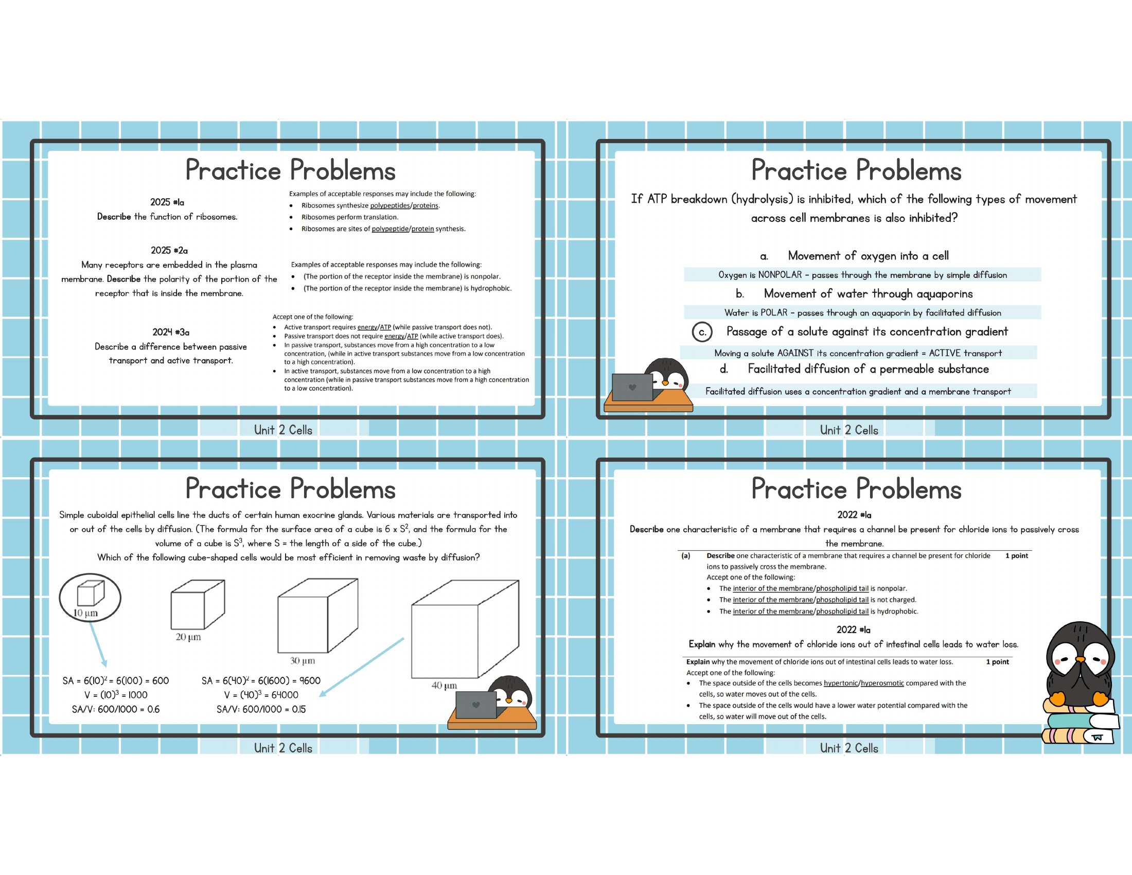 Unit 2 water potential tonicity practice study image