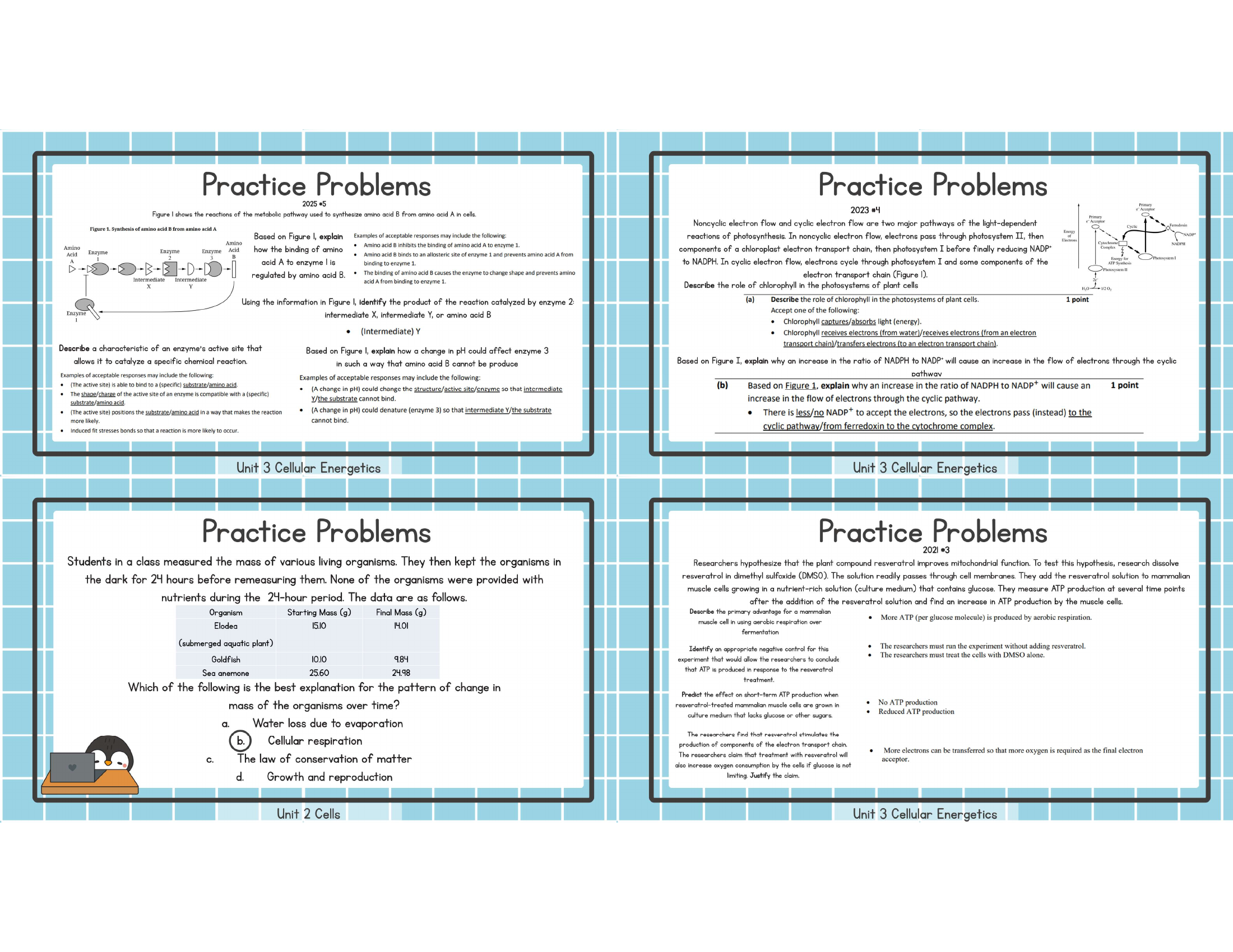 Unit 3 practice problems study image