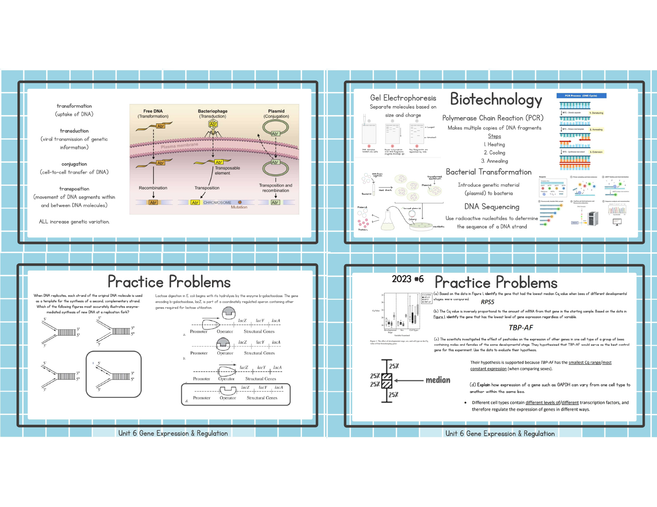 Unit 6 gene transfer biotechnology practice study image