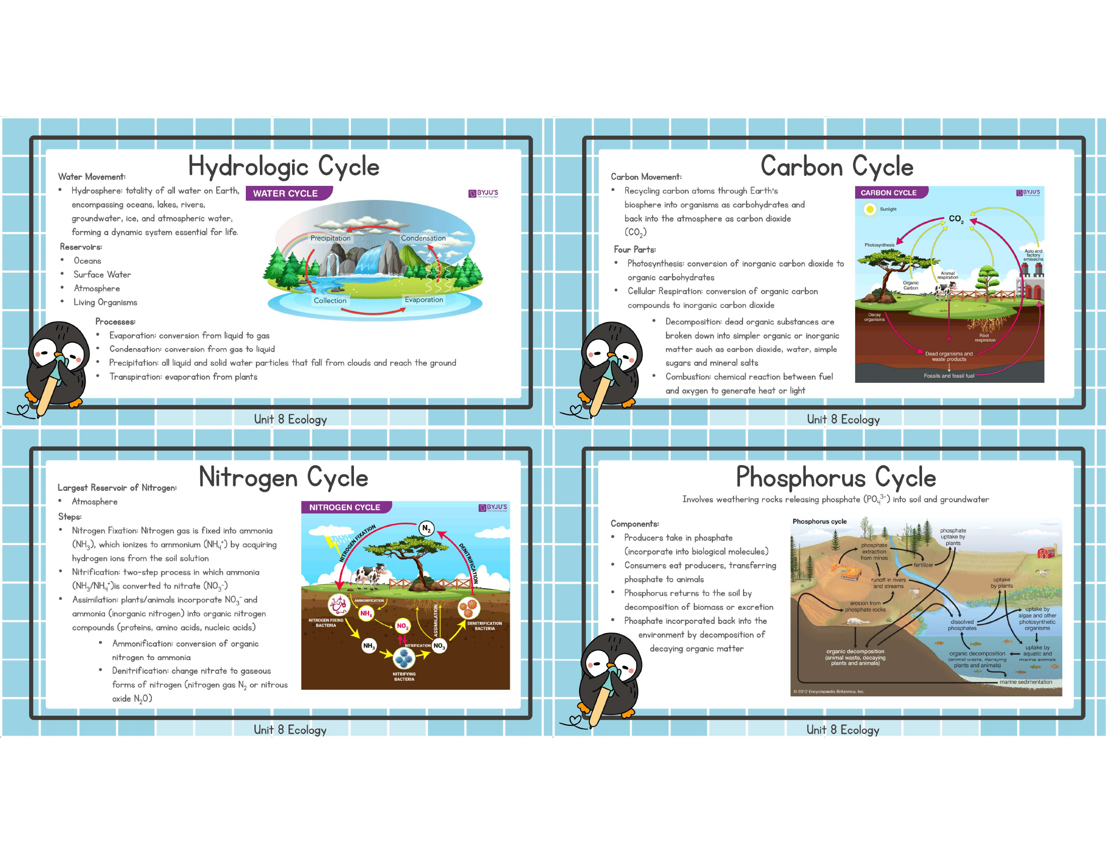 Unit 8 hydrologic carbon nitrogen phosphorus cycles study image