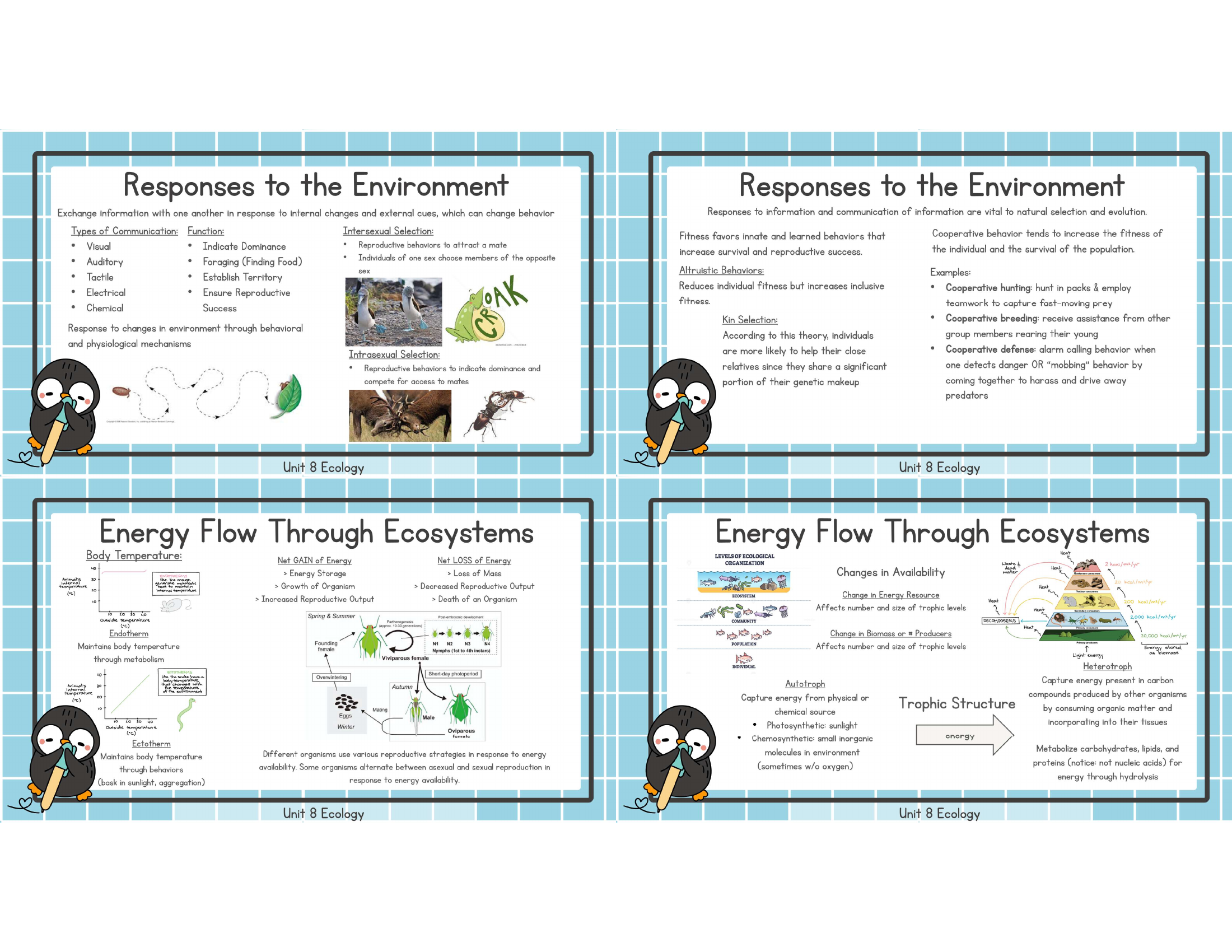 Unit 8 responses environment energy flow study image
